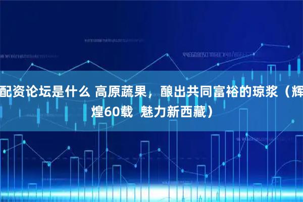 配资论坛是什么 高原蔬果，酿出共同富裕的琼浆（辉煌60载  魅力新西藏）