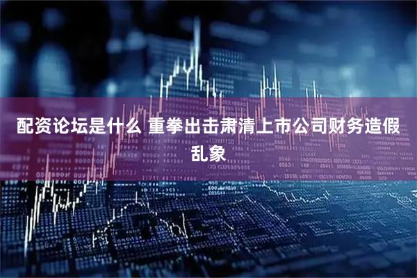 配资论坛是什么 重拳出击肃清上市公司财务造假乱象