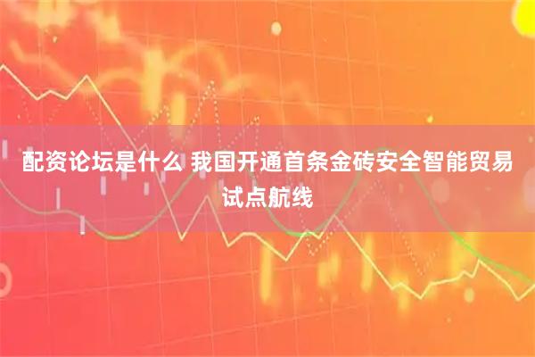 配资论坛是什么 我国开通首条金砖安全智能贸易试点航线